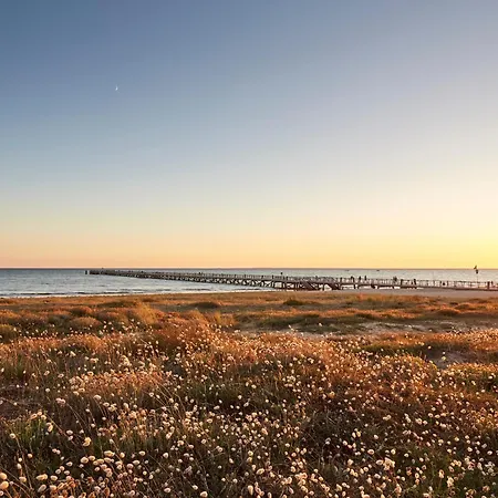 Vue A - 5 Personnes, Animaux - Fr-1-540-147 *