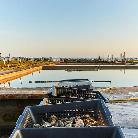 Apartament Vue A - 5 Personnes, Animaux - Fr-1-540-147