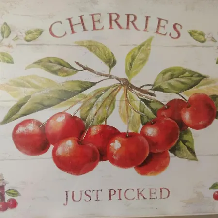 Vue A - 5 Personnes, Animaux - Fr-1-540-147 Notre-Dame-de-Monts