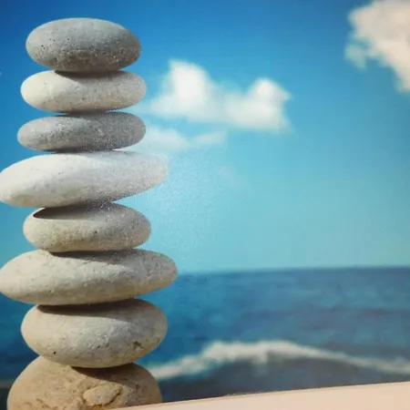 Vue A - 5 Personnes, Animaux - Fr-1-540-147 Notre-Dame-de-Monts